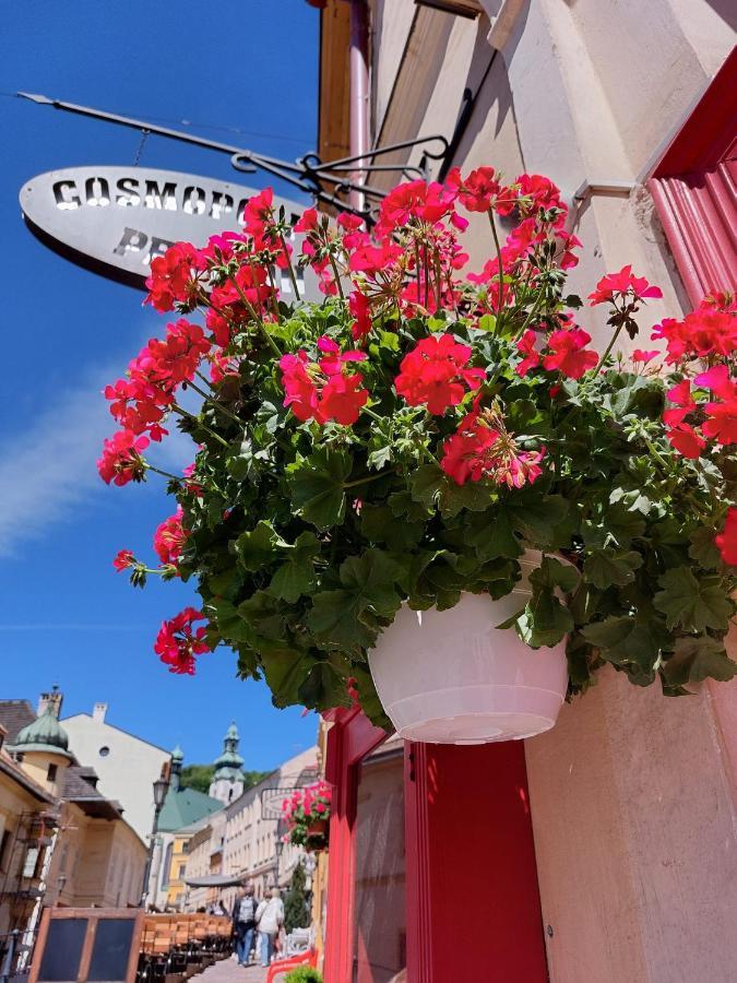 Penzion Cosmopolitan Ii. Banská Štiavnica Exterior foto